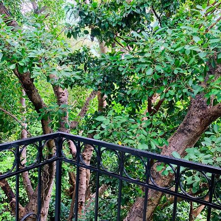 Villa Antilope Cancún Eksteriør billede