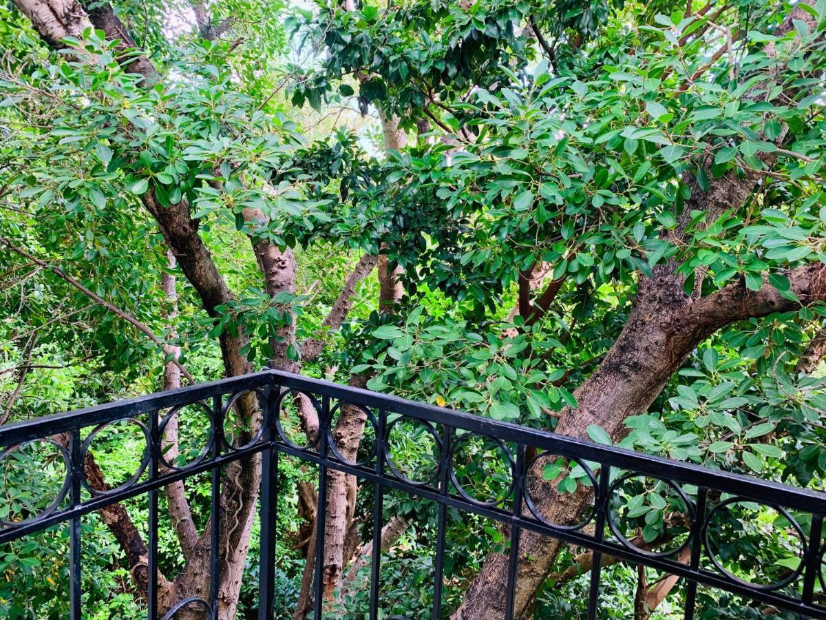 Villa Antilope Cancún Eksteriør billede